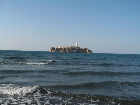 al hociema
